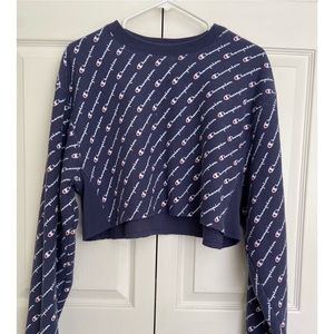 champion cropped hoodie, blue